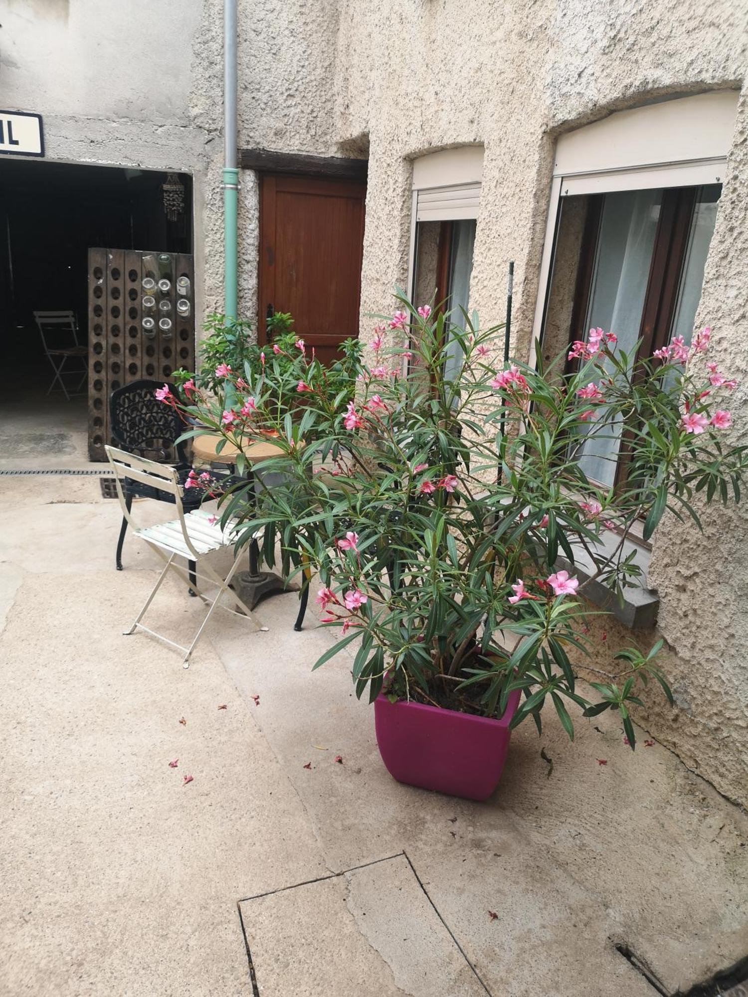 Cottage Au Terminus 2 Climatise โอต์วิลเลส์ ภายนอก รูปภาพ